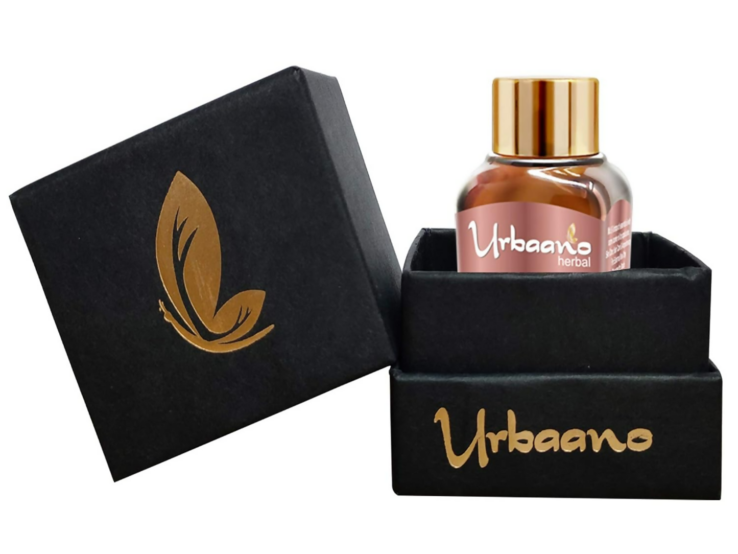 https://cdn.shopify.com/s/files/1/1857/6931/files/54vqWk7M9R.png?v=1746596890