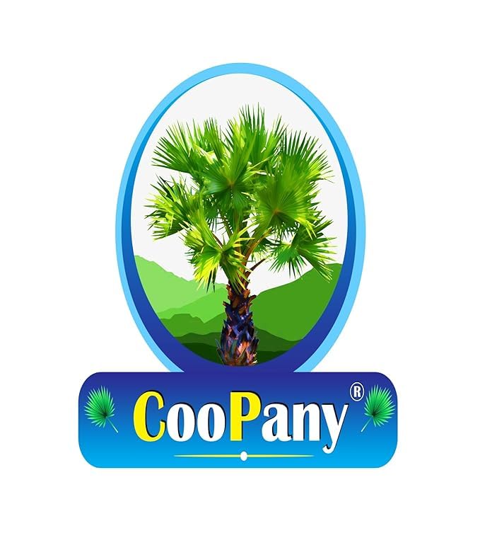 Image 8 of CooPany Traditional Indolium Appam Patra/Kuzhi Paniyaram Pan/Paniyara Kallu