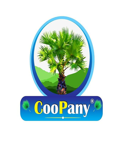 Image 8 of CooPany Traditional Indolium Appam Patra/Kuzhi Paniyaram Pan/Paniyara Kallu