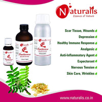 https://cdn.shopify.com/s/files/1/1857/6931/products/55iNkZ8NGn.jpg?v=1623493698
