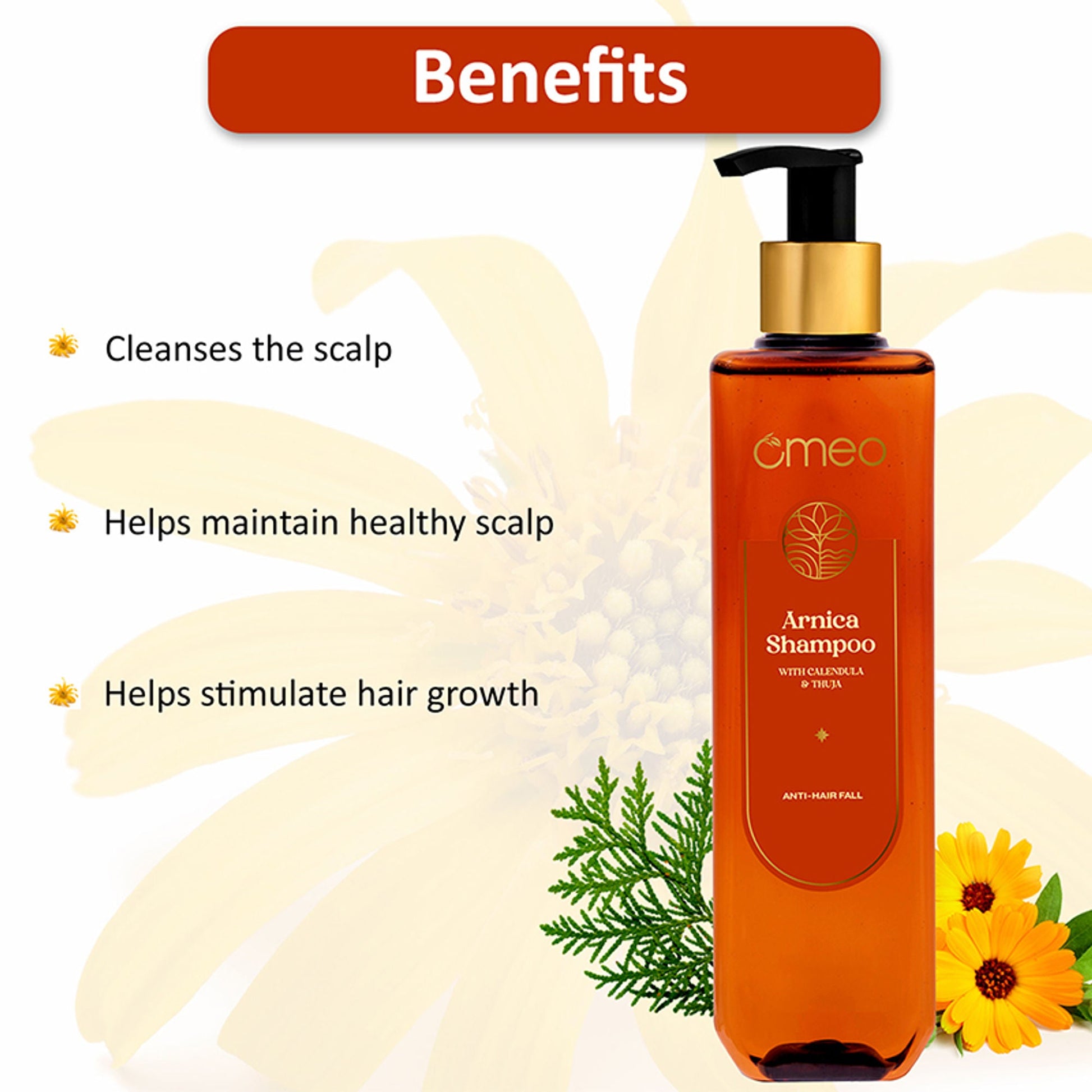 https://cdn.shopify.com/s/files/1/1857/6931/files/56750b68905614283899_2.jpg?v=1778073198