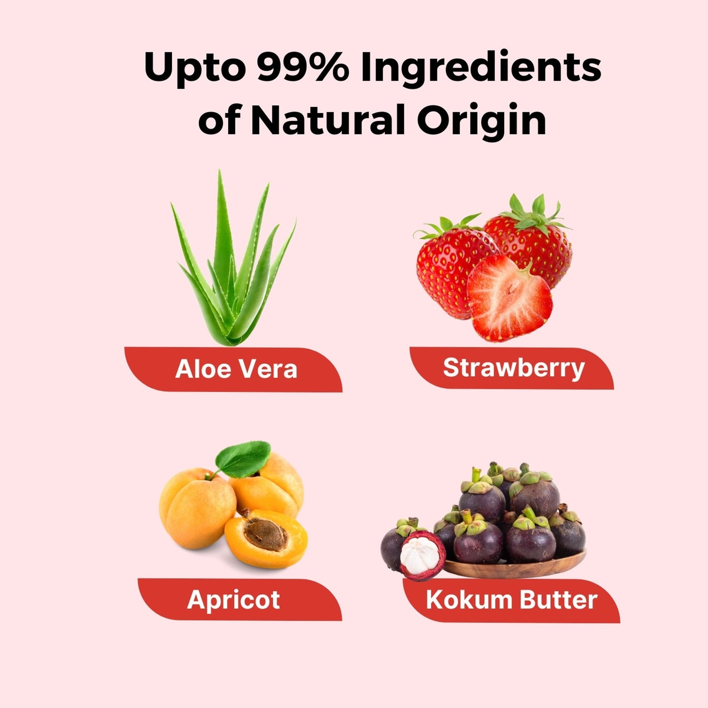 https://cdn.shopify.com/s/files/1/1857/6931/files/58139b48906042090035_5.jpg?v=1770104260