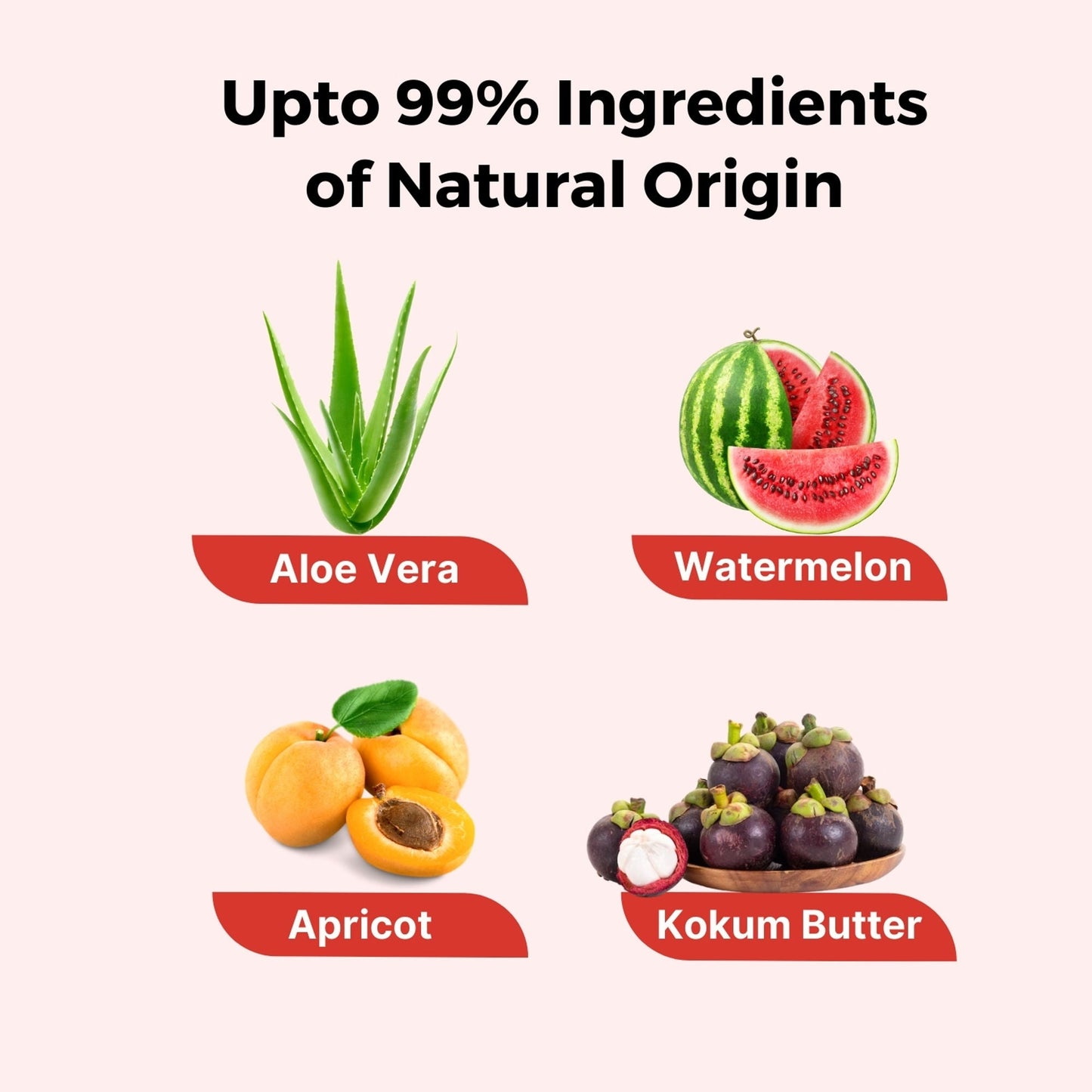 https://cdn.shopify.com/s/files/1/1857/6931/files/58139b48906042090059_6.jpg?v=1770104279