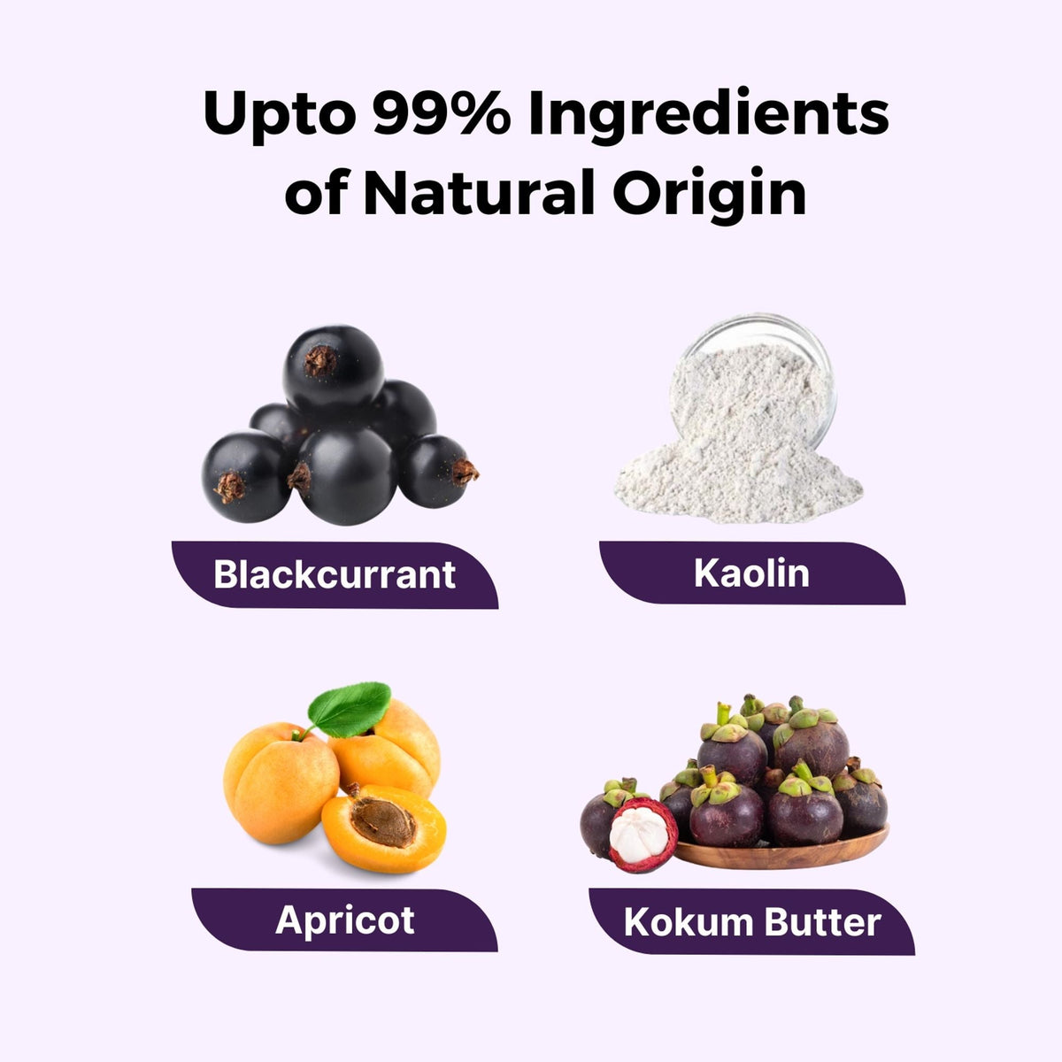 https://cdn.shopify.com/s/files/1/1857/6931/files/58139b48906042090066_7.jpg?v=1770104250