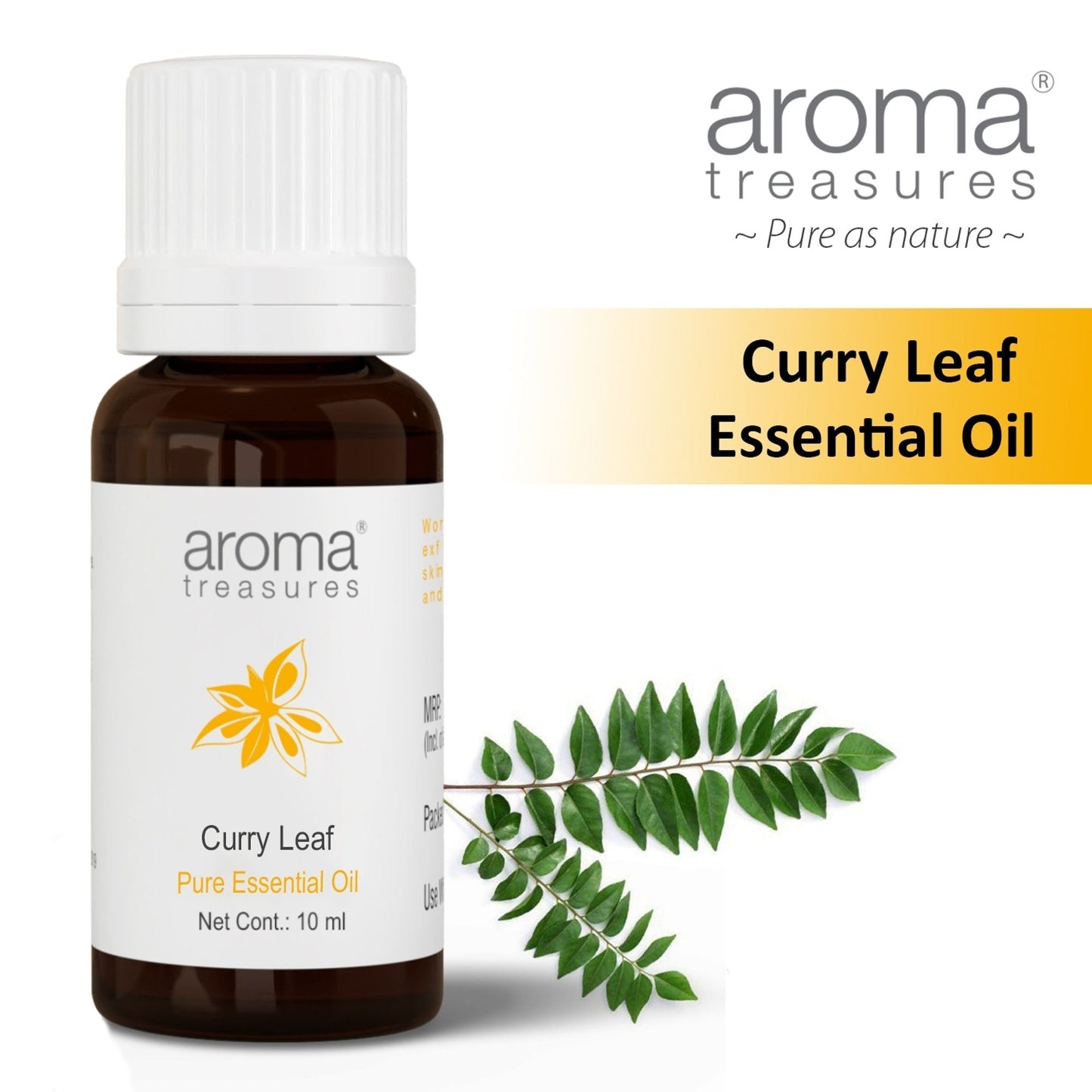 https://cdn.shopify.com/s/files/1/1857/6931/files/58139b48906042091407_1.jpg?v=1770104385