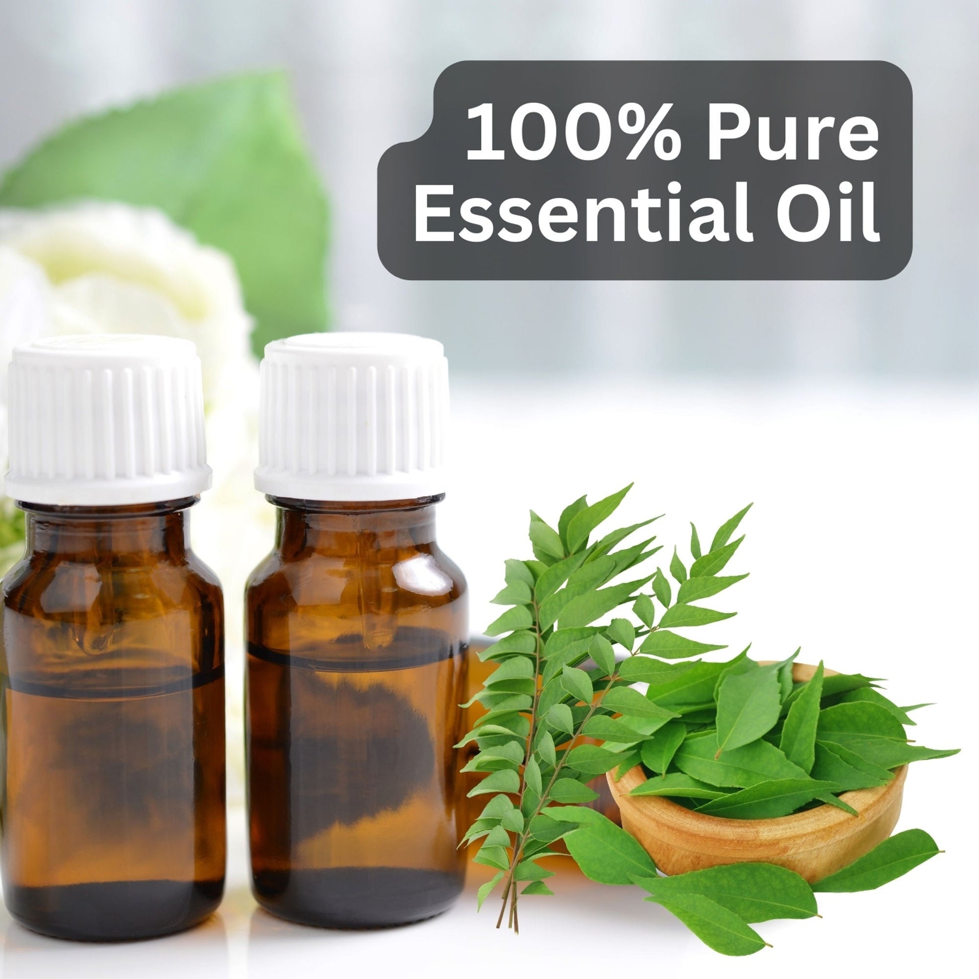 https://cdn.shopify.com/s/files/1/1857/6931/files/58139b48906042091407_6.jpg?v=1770104385
