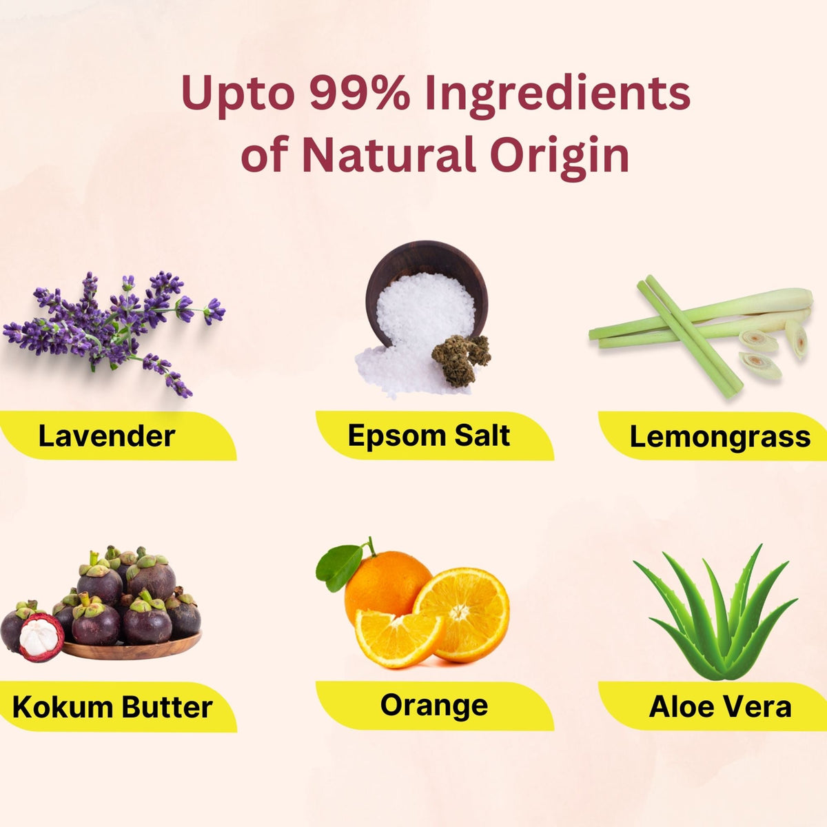 https://cdn.shopify.com/s/files/1/1857/6931/files/58139b48906042098451_6.jpg?v=1770104311