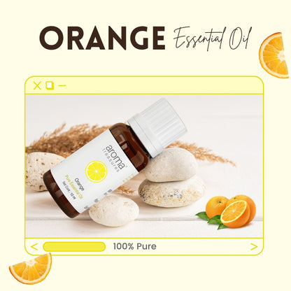 https://cdn.shopify.com/s/files/1/1857/6931/files/58139b4AROAC00000016_2.jpg?v=1770104409