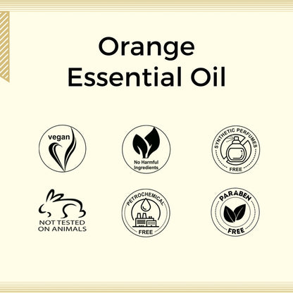 https://cdn.shopify.com/s/files/1/1857/6931/files/58139b4AROAC00000016_7.jpg?v=1770104410