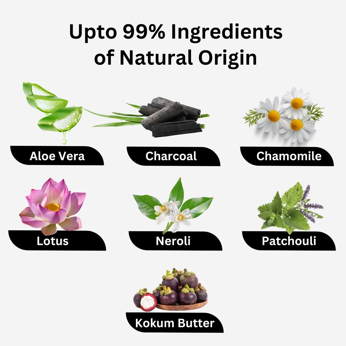 https://cdn.shopify.com/s/files/1/1857/6931/files/58139b4AROAC00000024_7.jpg?v=1770104268