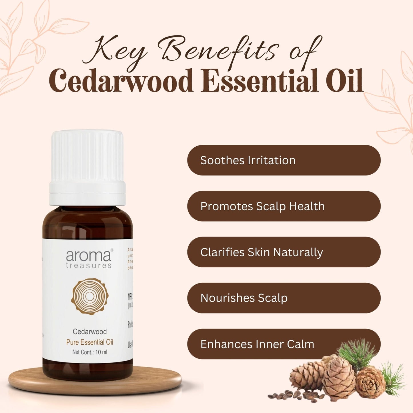 https://cdn.shopify.com/s/files/1/1857/6931/files/58139b4NYAROMATRE004_3.jpg?v=1770104397