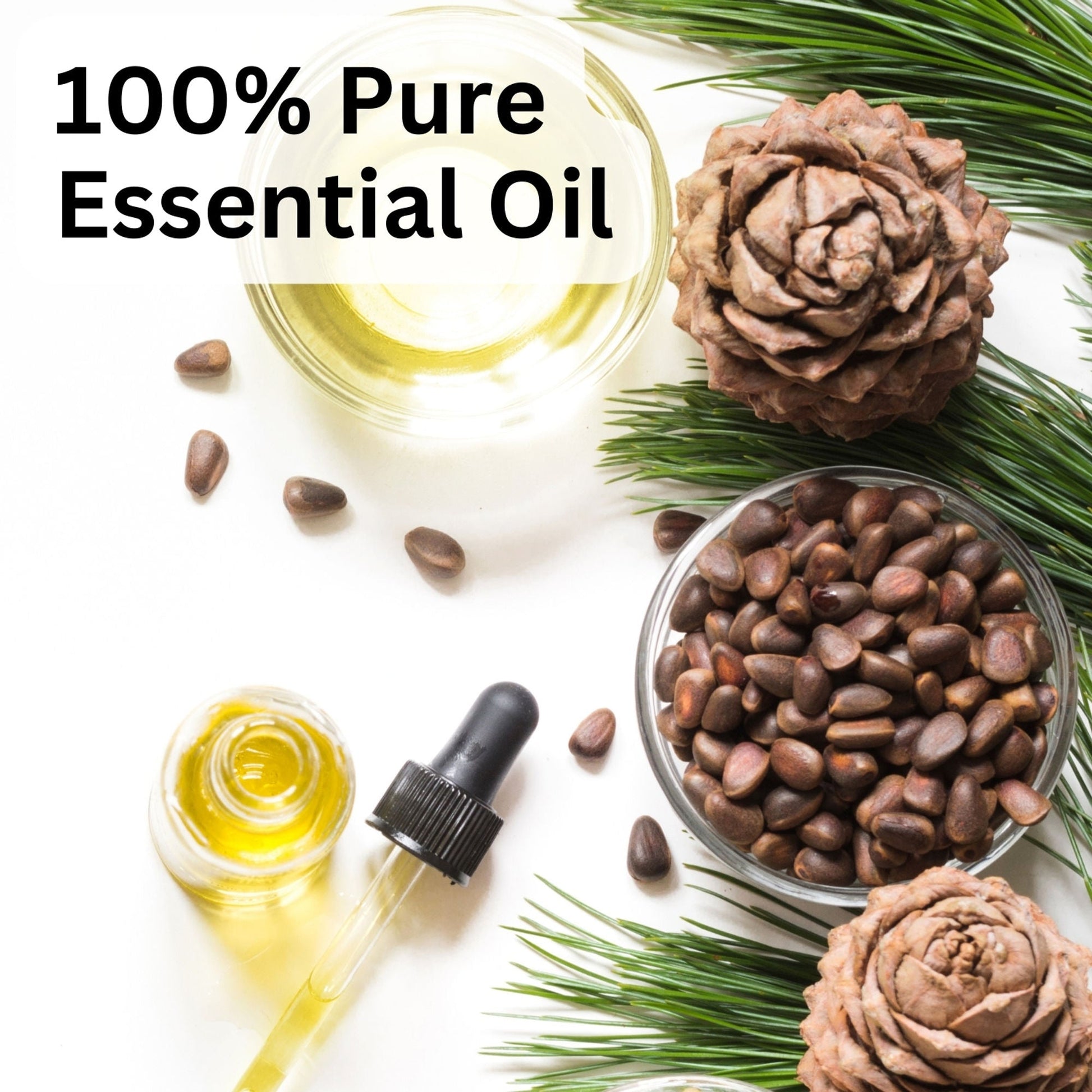 https://cdn.shopify.com/s/files/1/1857/6931/files/58139b4NYAROMATRE004_6.jpg?v=1770104398