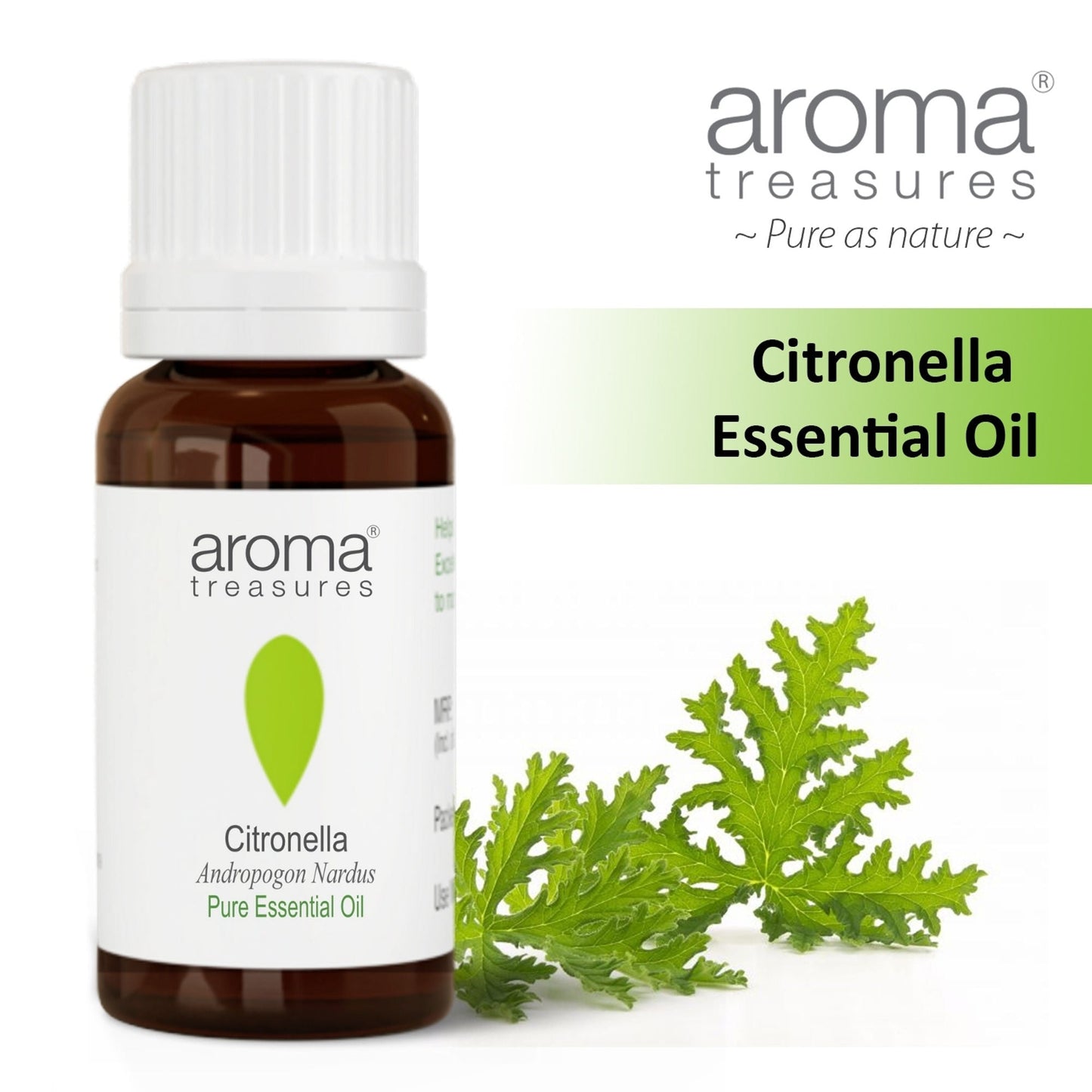 https://cdn.shopify.com/s/files/1/1857/6931/files/58139b4NYAROMATRE005_1.jpg?v=1770104388