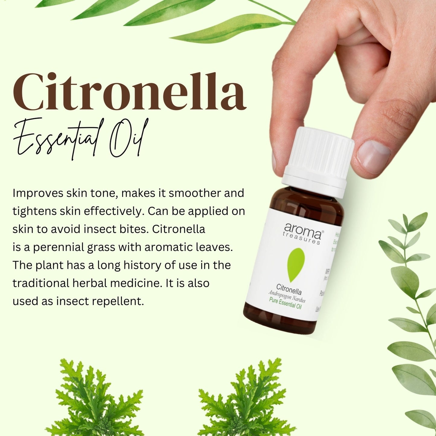 https://cdn.shopify.com/s/files/1/1857/6931/files/58139b4NYAROMATRE005_2.jpg?v=1770104388