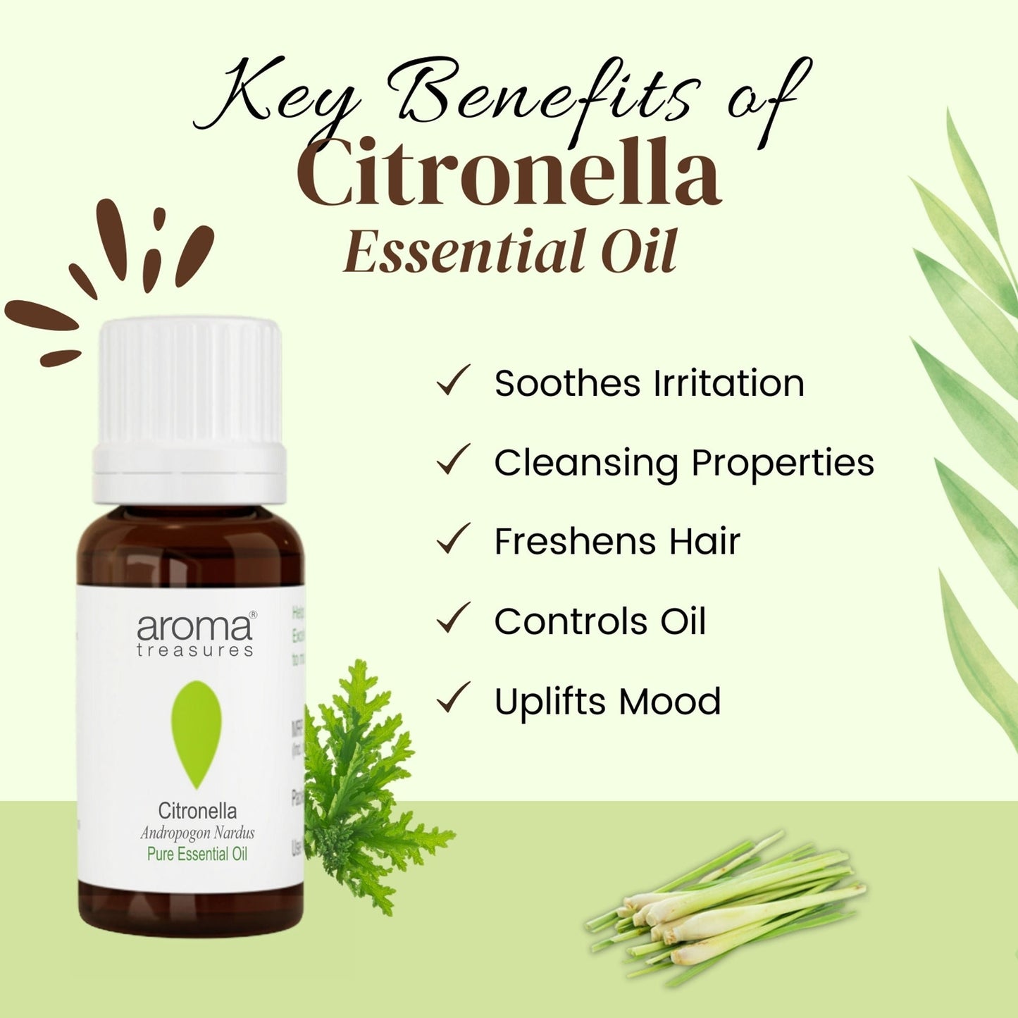 https://cdn.shopify.com/s/files/1/1857/6931/files/58139b4NYAROMATRE005_3.jpg?v=1770104389