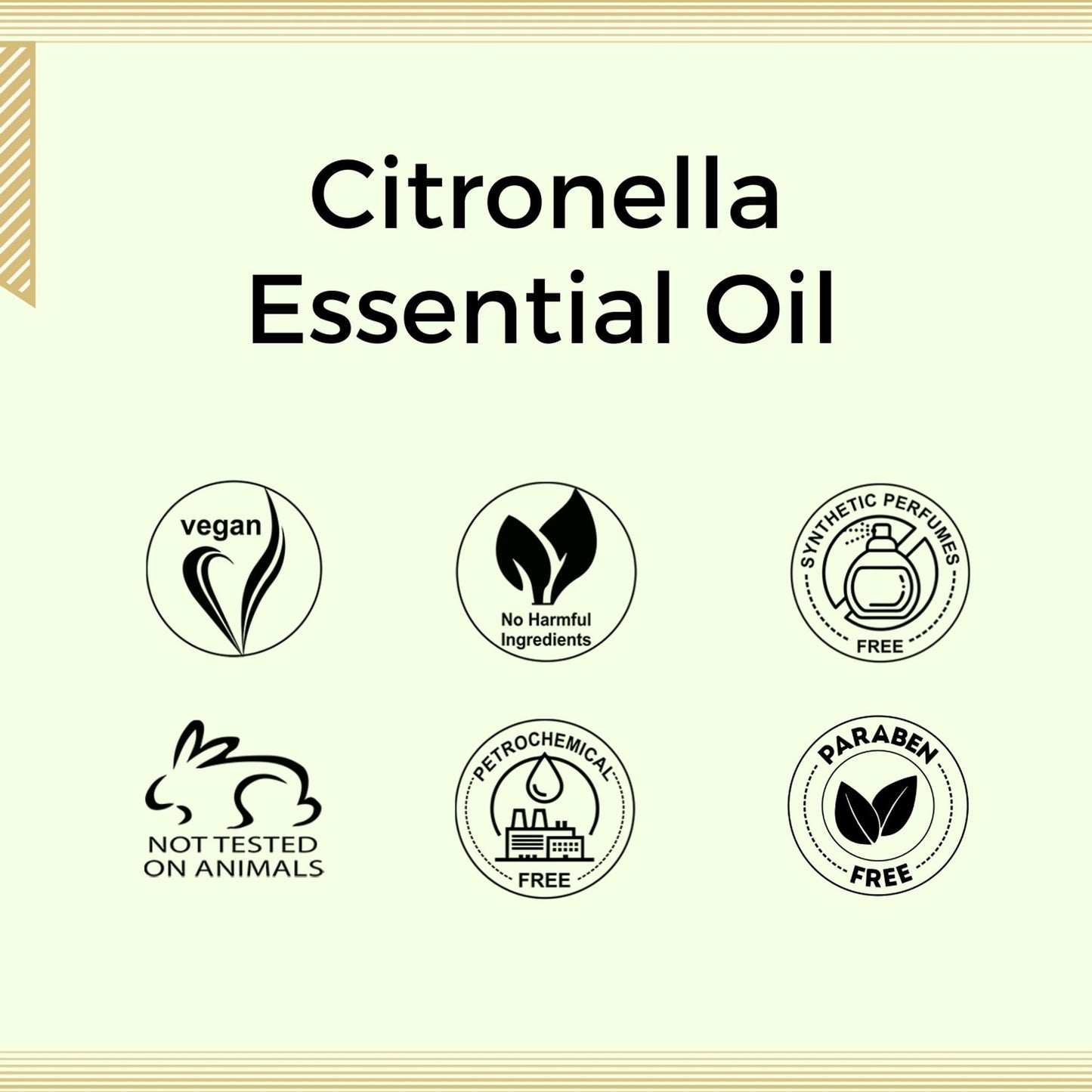 https://cdn.shopify.com/s/files/1/1857/6931/files/58139b4NYAROMATRE005_7.jpg?v=1770104389