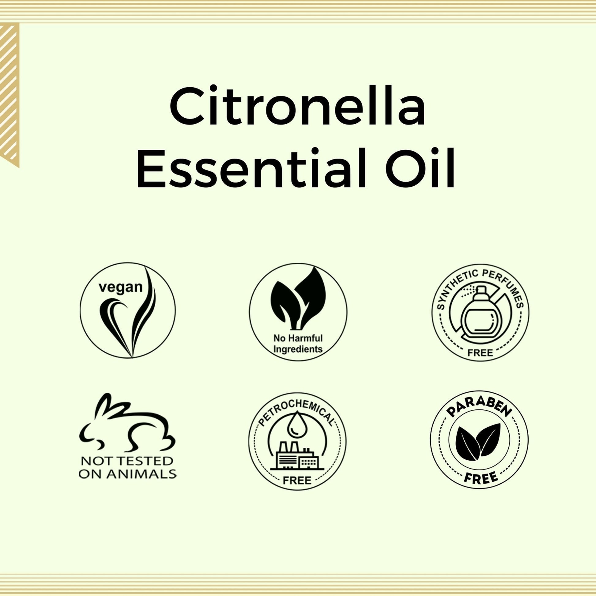 https://cdn.shopify.com/s/files/1/1857/6931/files/58139b4NYAROMATRE005_7.jpg?v=1770104389
