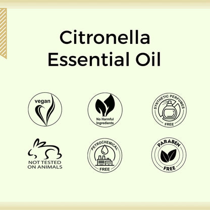https://cdn.shopify.com/s/files/1/1857/6931/files/58139b4NYAROMATRE005_7.jpg?v=1770104389