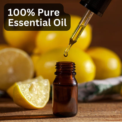https://cdn.shopify.com/s/files/1/1857/6931/files/58139b4NYAROMATRE052_6.jpg?v=1770104418