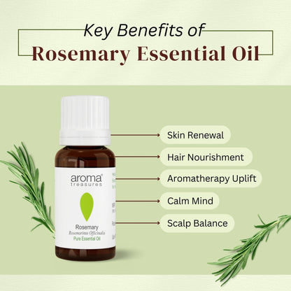 https://cdn.shopify.com/s/files/1/1857/6931/files/58139b4NYAROMATRE058_3.jpg?v=1770104298