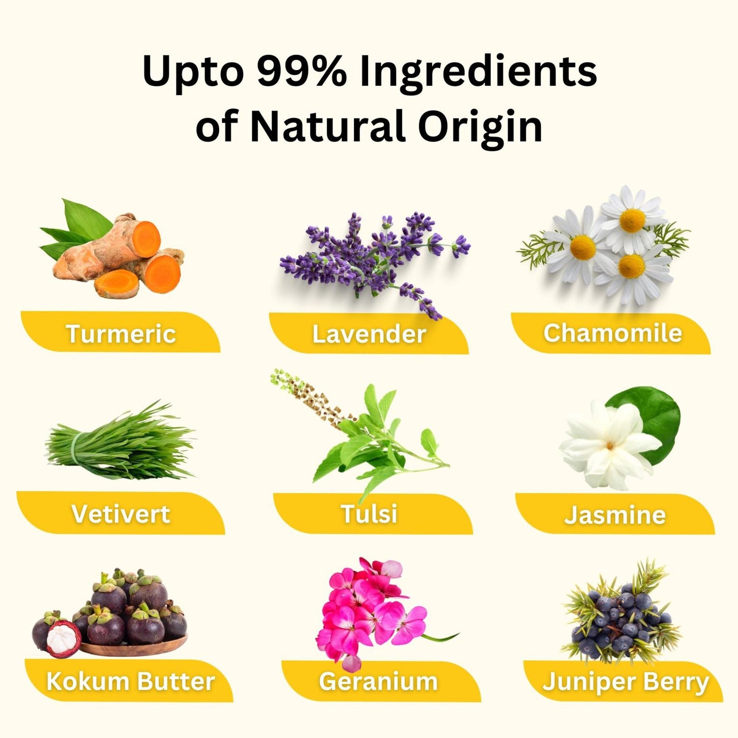 https://cdn.shopify.com/s/files/1/1857/6931/files/58139b4NYAROMATRE074_7.jpg?v=1770104233