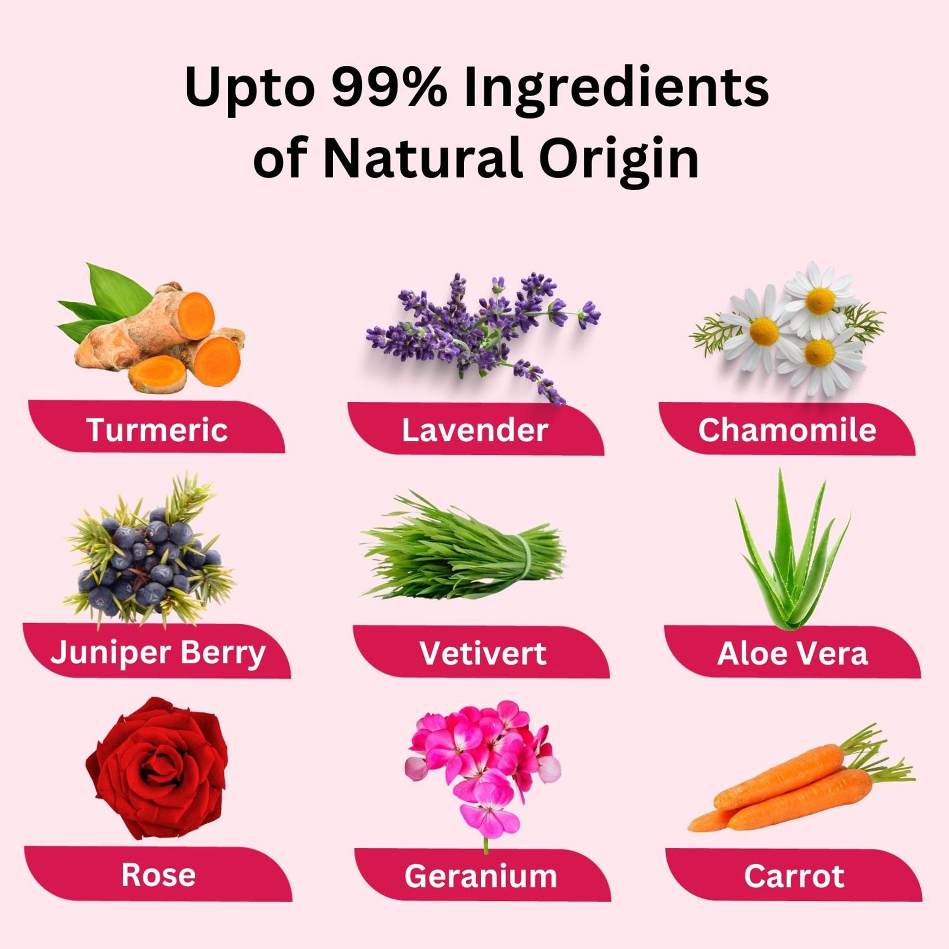 https://cdn.shopify.com/s/files/1/1857/6931/files/58139b4NYAROMATRE075_7.jpg?v=1770104302