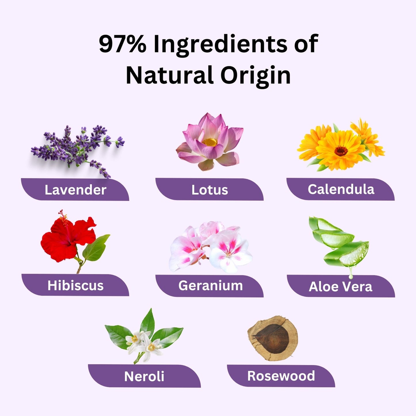 https://cdn.shopify.com/s/files/1/1857/6931/files/58139b4NYAROMATRE079_6.jpg?v=1770104294