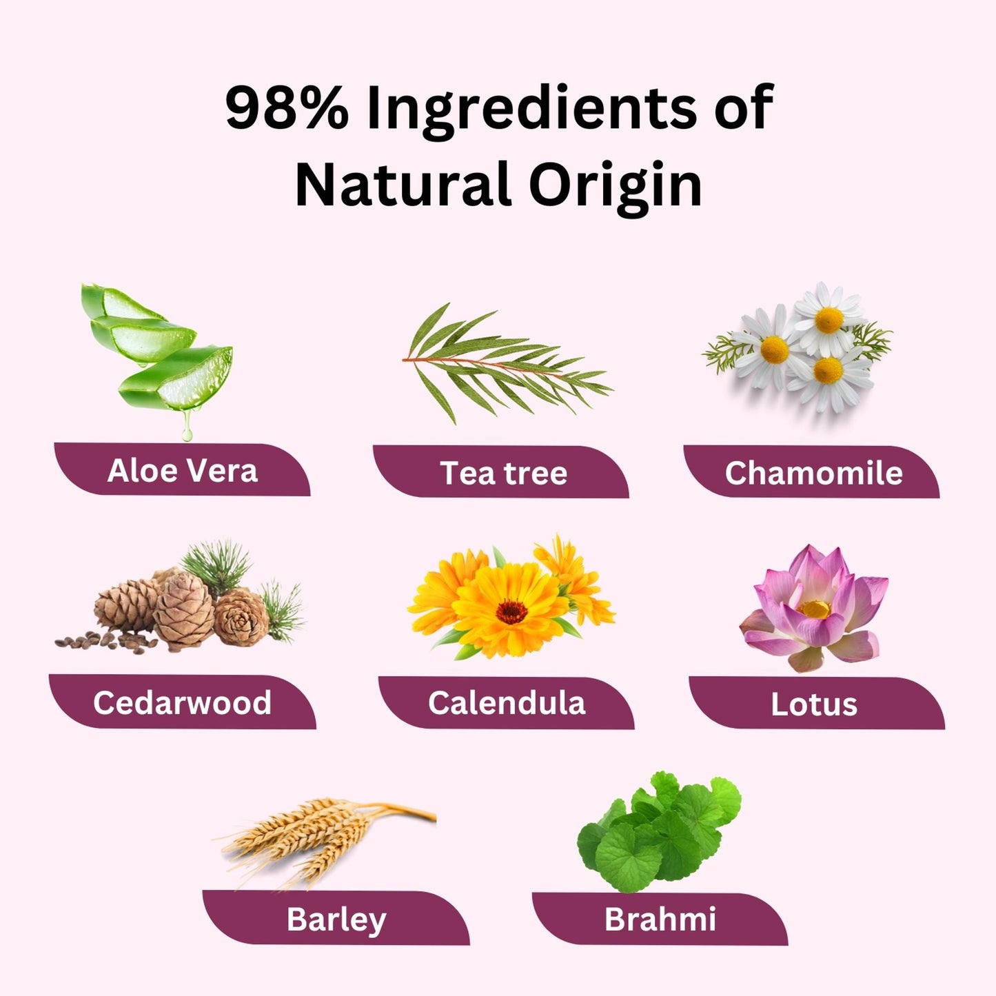 https://cdn.shopify.com/s/files/1/1857/6931/files/58139b4NYAROMATRE080_6.jpg?v=1770104321