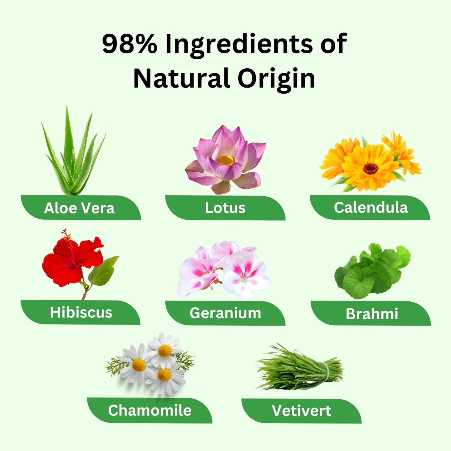 https://cdn.shopify.com/s/files/1/1857/6931/files/58139b4NYAROMATRE081_5.jpg?v=1770104351