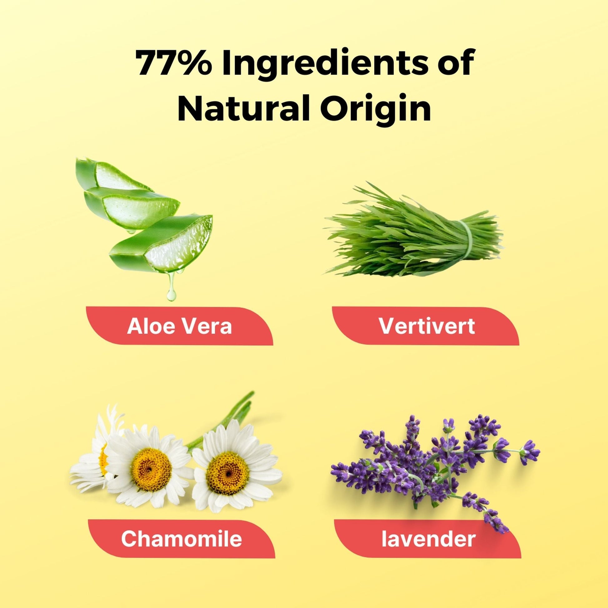 https://cdn.shopify.com/s/files/1/1857/6931/files/58139b4NYAROMATRE088_6.jpg?v=1770104264