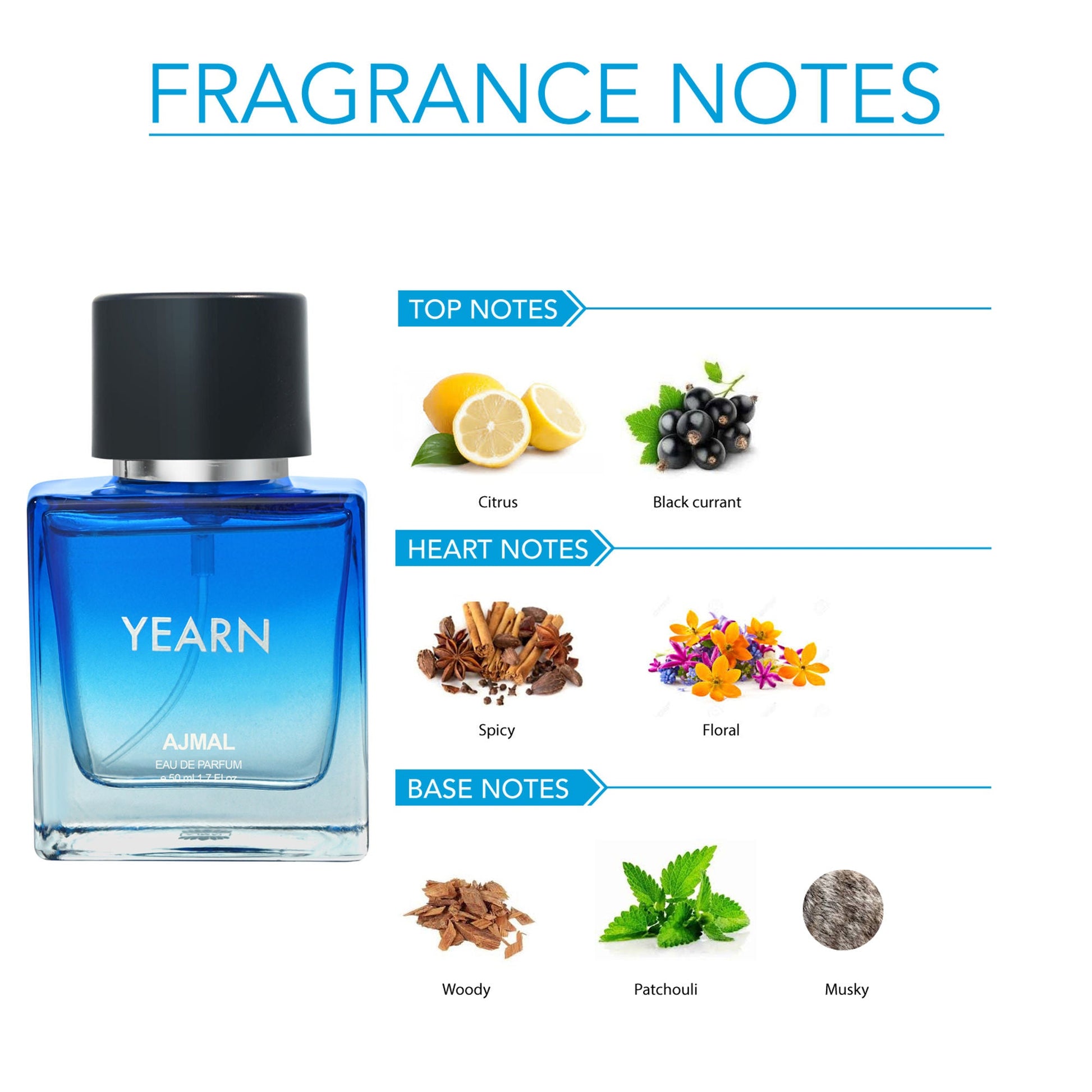 https://cdn.shopify.com/s/files/1/1857/6931/files/583243fAJMAL00000055_4.jpg?v=1779877693