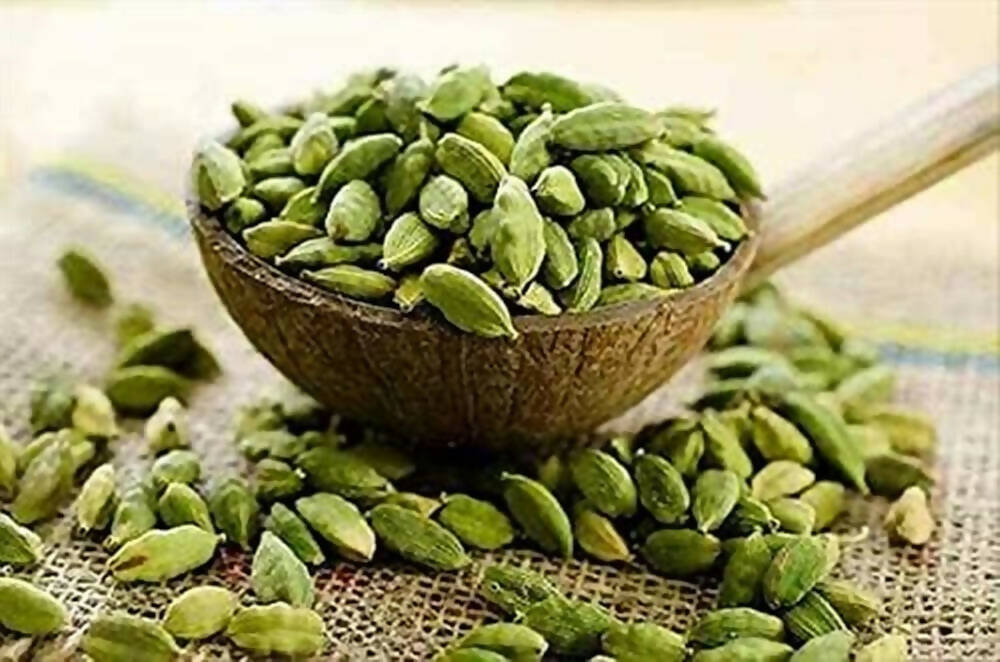 https://cdn.shopify.com/s/files/1/1857/6931/files/58OJdRjkRM-593376.jpg?v=1736146130