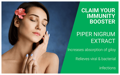 https://cdn.shopify.com/s/files/1/1857/6931/files/58c2a69fc488ade3ecea65146441186441c30d04.png?v=1769512654
