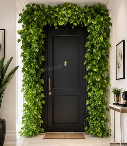 Image 5 of Divyakosh Artificial Hanging Money Plant Creepers for Home Decor, 8 Silk Vines 6 FT, 240 Leaves, Hanging Plant, Decorative Leaves, Money Plant Artificial for Wall Door Balcony