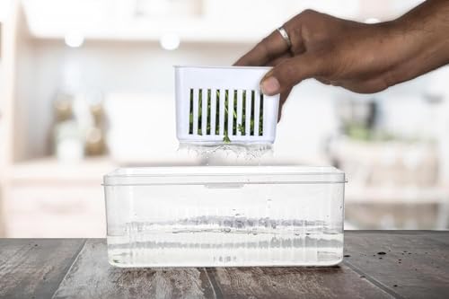 Image 6 of HomeWiz Fridge Storage Containers 2000ml 4-Grid