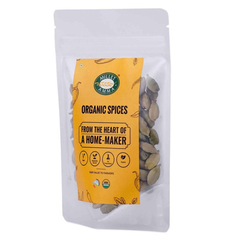 https://cdn.shopify.com/s/files/1/1857/6931/products/59sAcPno6N.jpg?v=1627612156