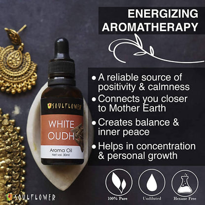 https://cdn.shopify.com/s/files/1/1857/6931/products/5AYDUA6GRk.jpg?v=1639739797