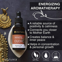 https://cdn.shopify.com/s/files/1/1857/6931/products/5AYDUA6GRk.jpg?v=1639739797