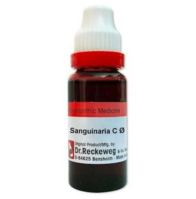 https://cdn.shopify.com/s/files/1/1857/6931/products/5B5IQ6enrl.jpg?v=1678099216