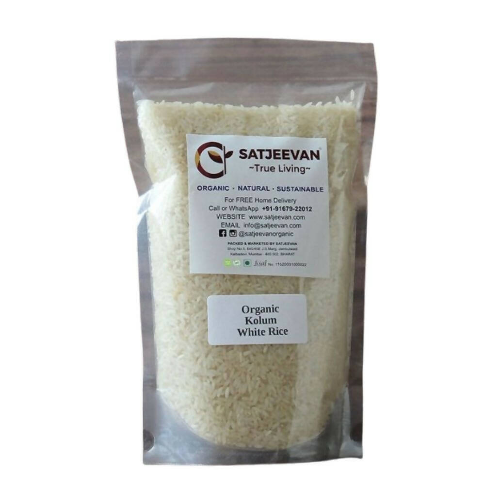 https://cdn.shopify.com/s/files/1/1857/6931/products/5B86cahqr9.jpg?v=1707474611