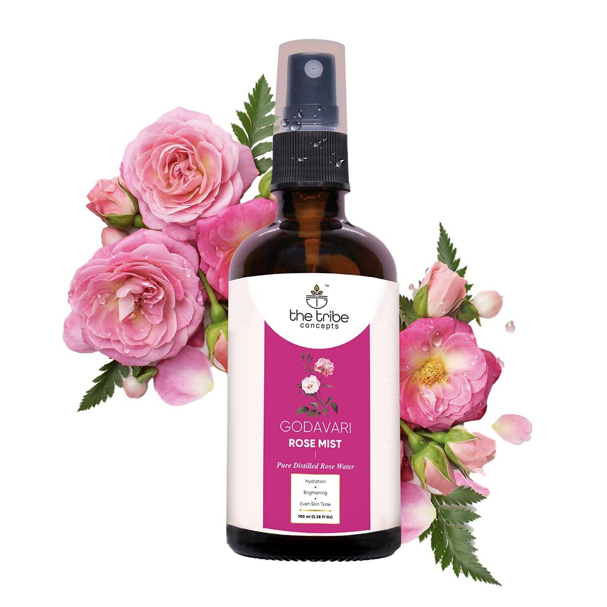https://cdn.shopify.com/s/files/1/1857/6931/files/5IIF3BowHL.jpg?v=1715931458