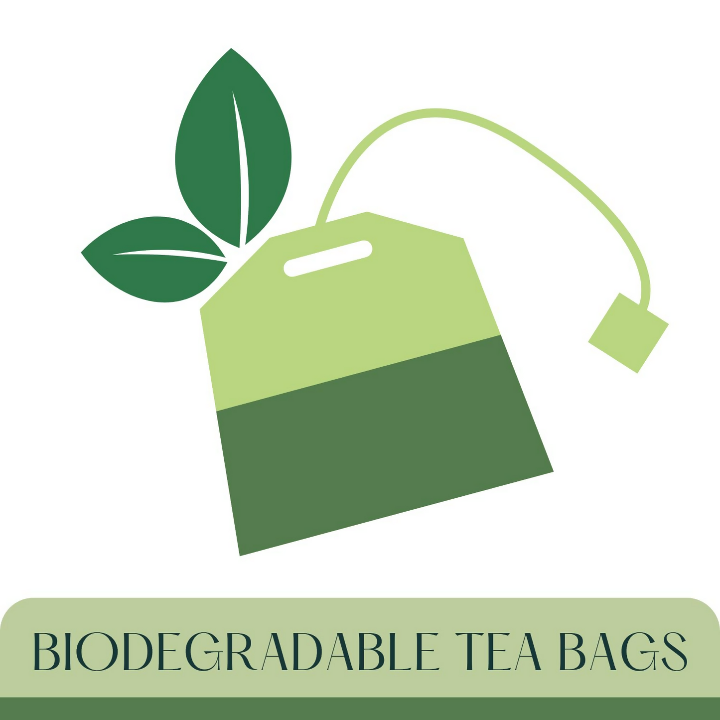 https://cdn.shopify.com/s/files/1/1857/6931/files/5KQHBUj1bB.png?v=1748006344