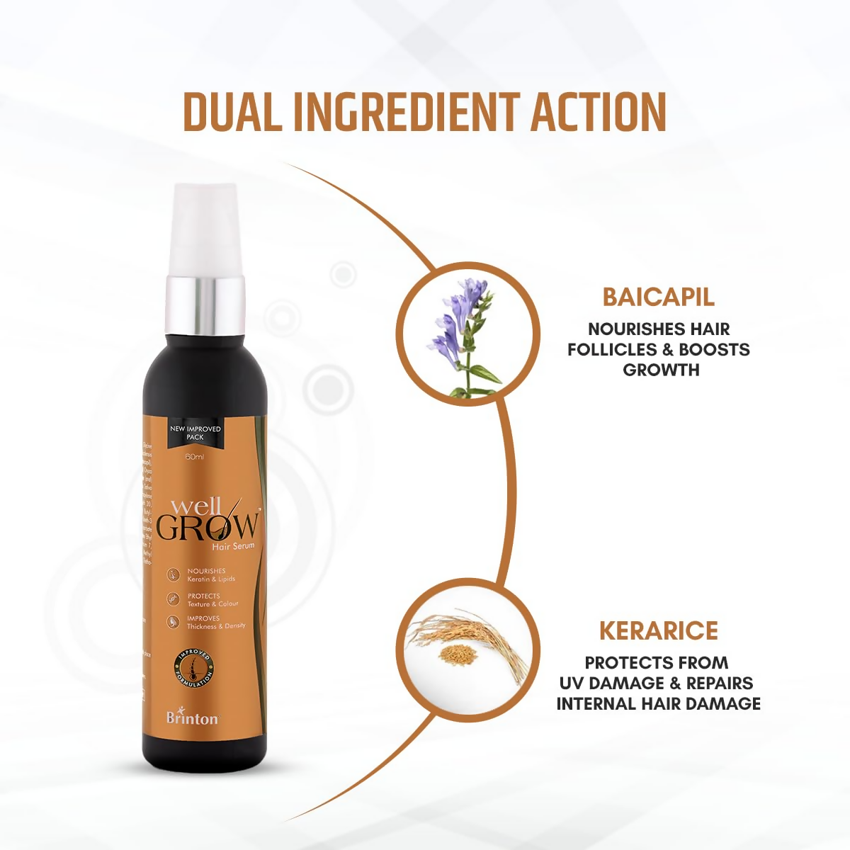 https://cdn.shopify.com/s/files/1/1857/6931/products/5Lx2sjmDCx.png?v=1698324433