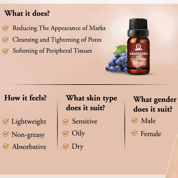 https://cdn.shopify.com/s/files/1/1857/6931/products/5PNdvKAQwq.jpg?v=1643017022