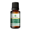 https://cdn.shopify.com/s/files/1/1857/6931/products/5REtlrQGpw.jpg?v=1762343892
