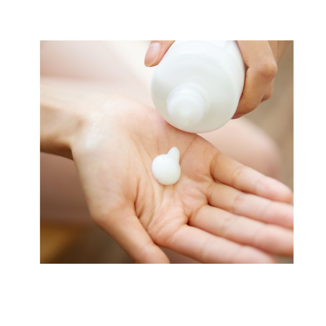 https://cdn.shopify.com/s/files/1/1857/6931/files/5T4afrRIpT.png?v=1727962535