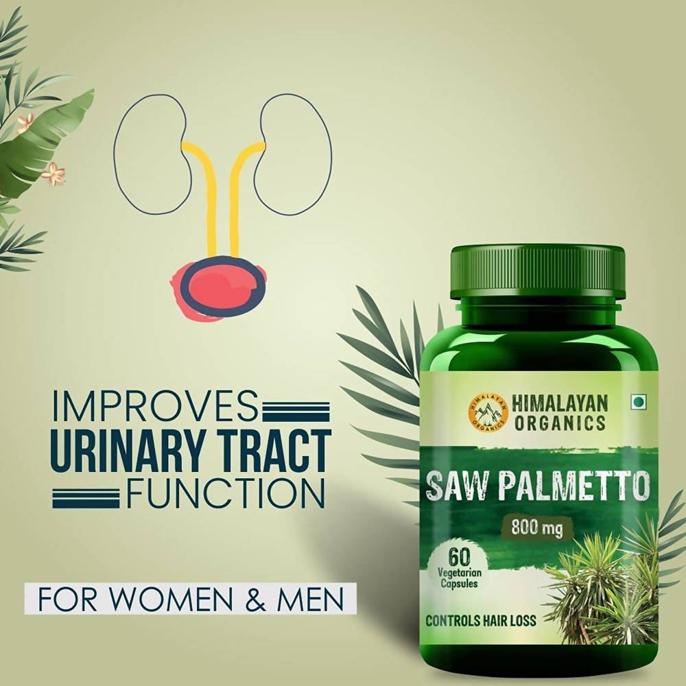 https://cdn.shopify.com/s/files/1/1857/6931/products/5UWo2SCNLP.jpg?v=1772103808