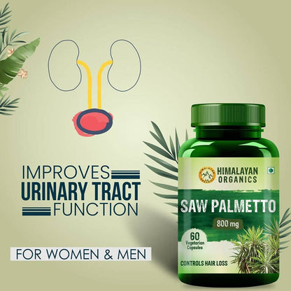 https://cdn.shopify.com/s/files/1/1857/6931/products/5UWo2SCNLP.jpg?v=1772103808