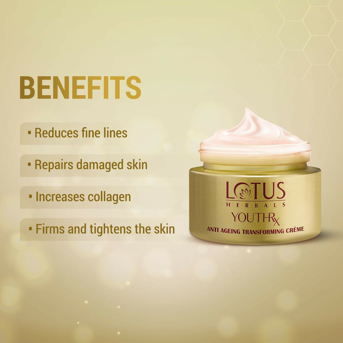 https://cdn.shopify.com/s/files/1/1857/6931/files/5Ul7Cajsvq.jpg?v=1730116268