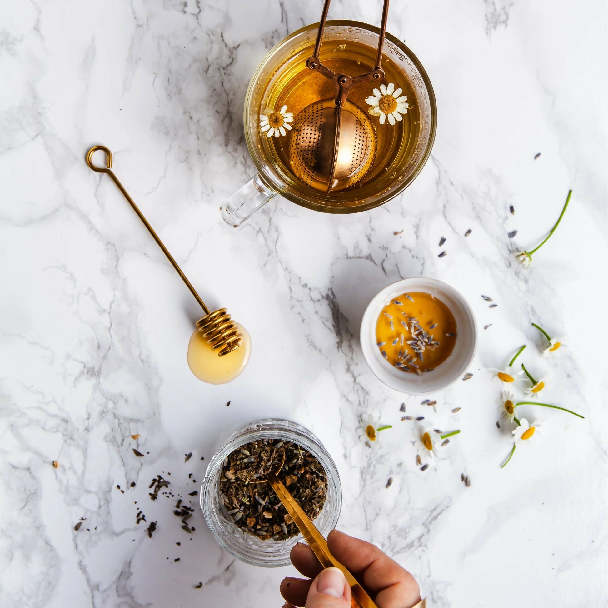 https://cdn.shopify.com/s/files/1/1857/6931/files/5XTLfP8ov8.jpg?v=1745833771